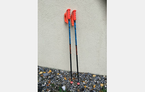 Bâtons Skkil GS 100cm