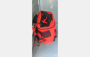 Sac Rossignol