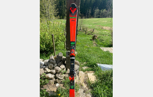 Skis ROSSIGNOL GS et SL